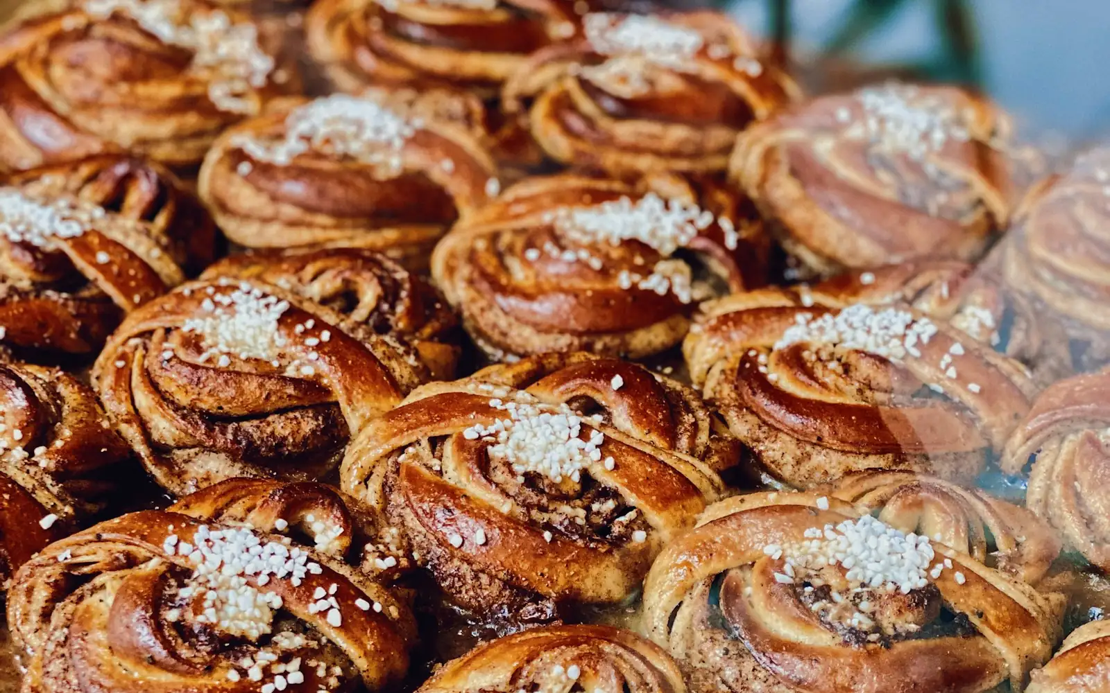 SMULA bageri (demo) 12 En plåt med nybakade bullar med pärlsocker
